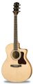 Voir la fiche GIBSON CSM-CE     GRAND CONCERT